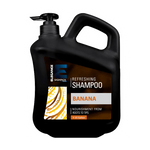 HAIR SHAMPOO (1 GALLON)